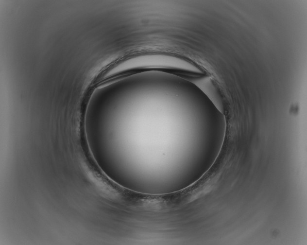 X0000092210446200709281026