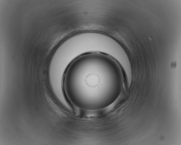 X0000092210448200709281027