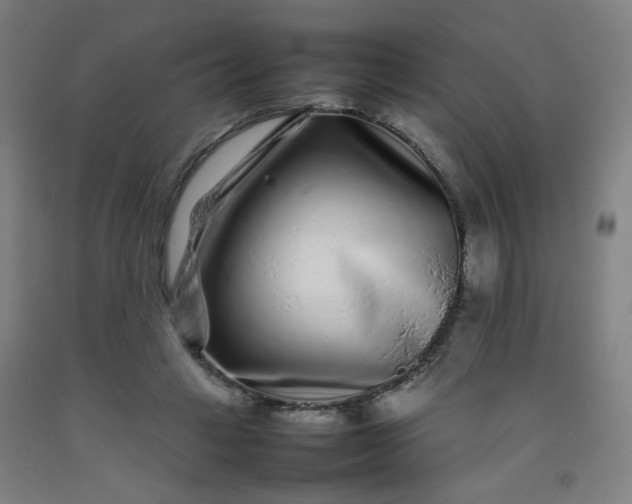 X0000092210449200709281027