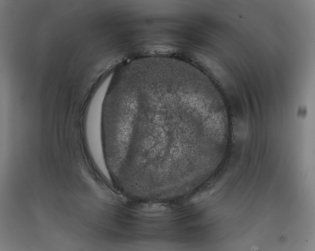 X0000092210451200709281027