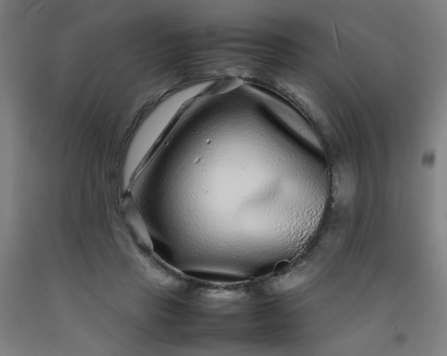 X0000092210453200709281027