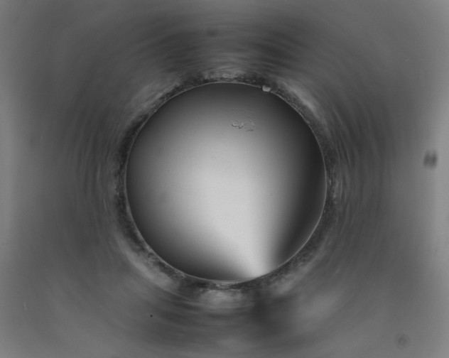 X0000092210455200709281027