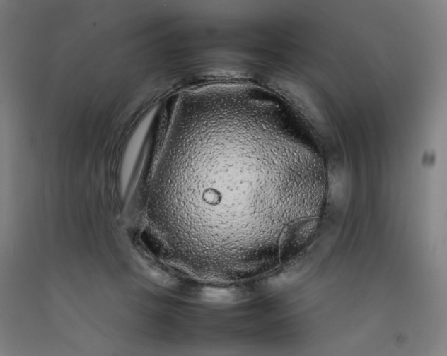 X0000092210457200709281027