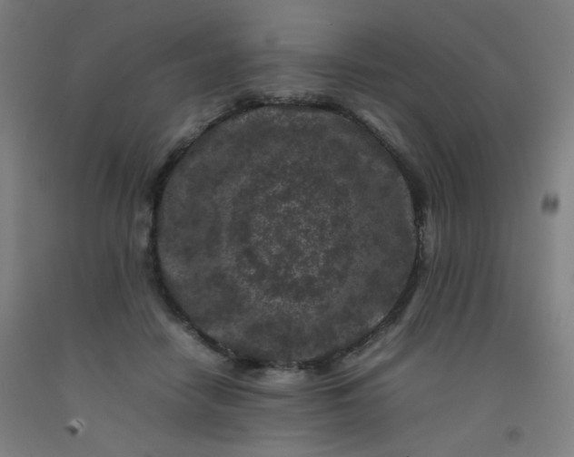 X0000092210458200709281027