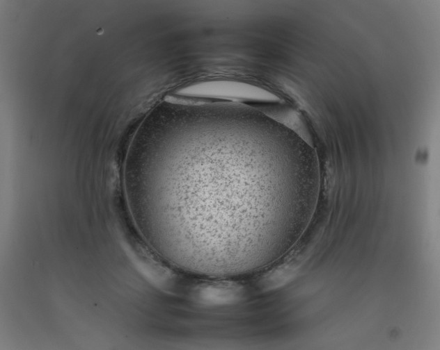 X0000092210459200709281027