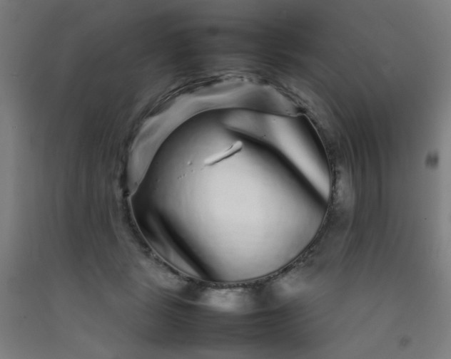 X0000092210461200709281027