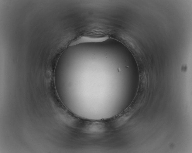 X0000092210463200709281027