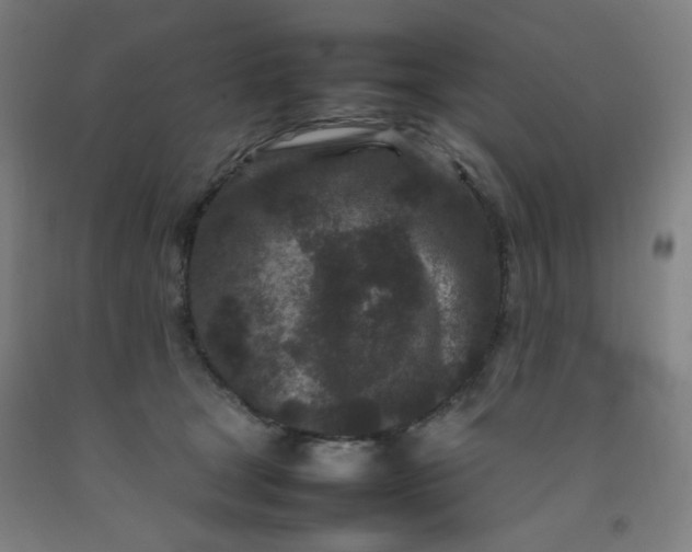 X0000092210465200709281027