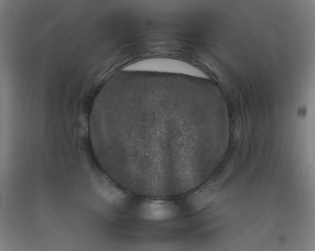 X0000092210467200709281027