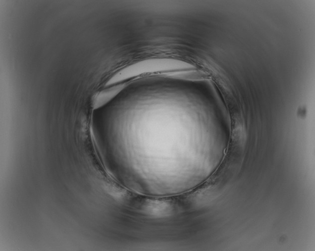 X0000092210469200709281027