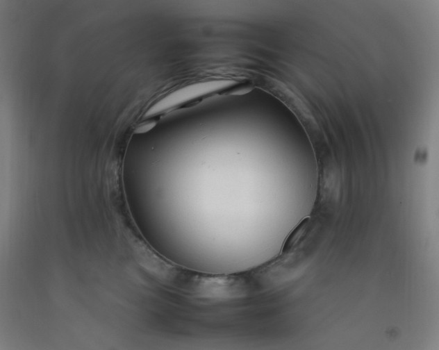 X0000092210473200709281027