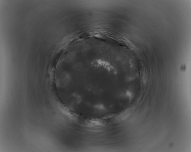 X0000092210475200709281027