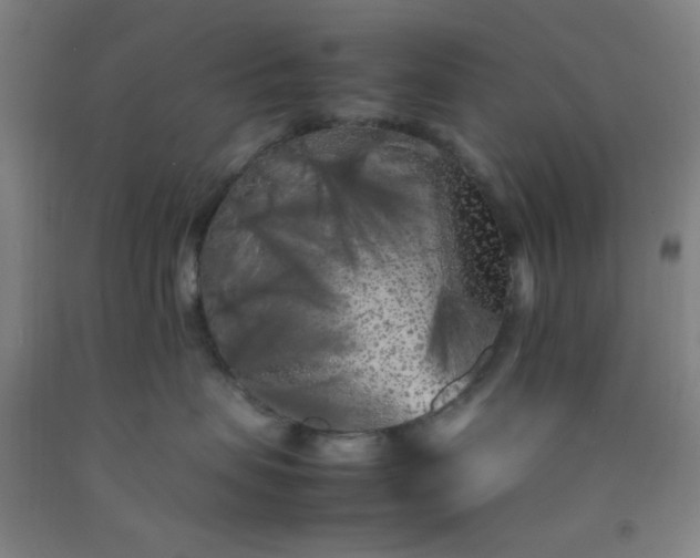 X0000092210479200709281027