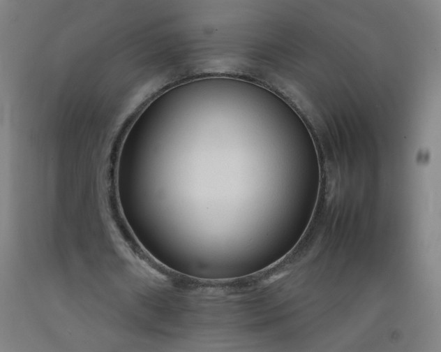 X0000092210482200709281026