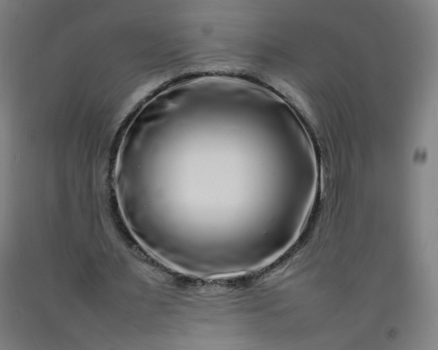 X0000092210483200709281026