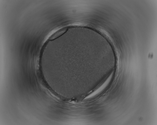 X0000092210484200709281026