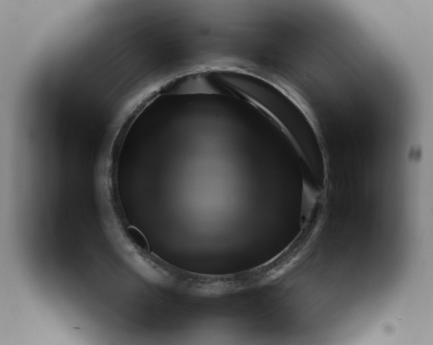 X0000092210485200709281026