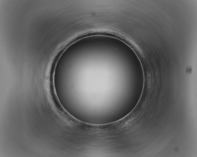 X0000092210486200709281026