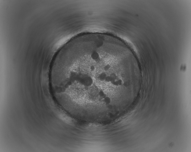 X0000092210487200709281026