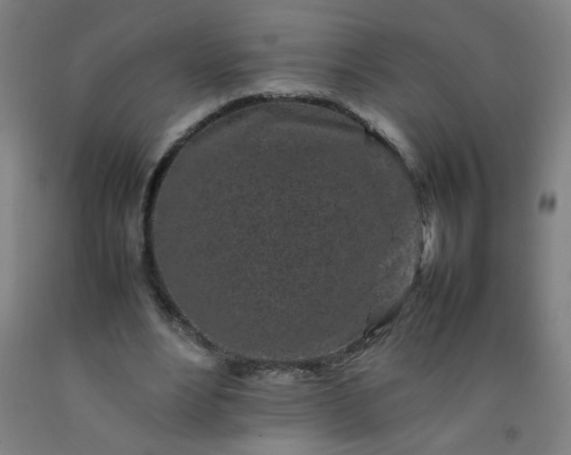 X0000092210488200709281026