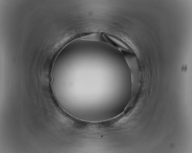 X0000092210489200709281026