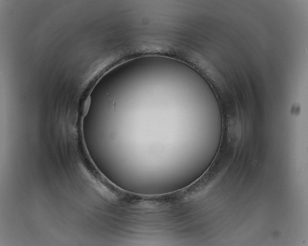 X0000092210490200709281026