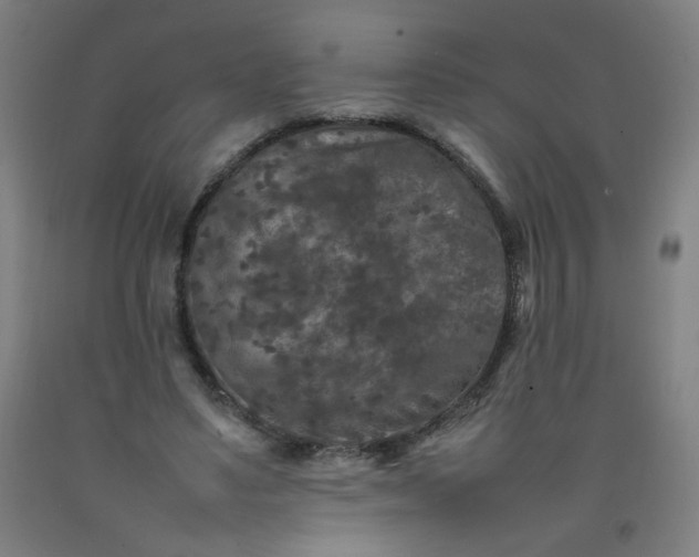 X0000092210491200709281026