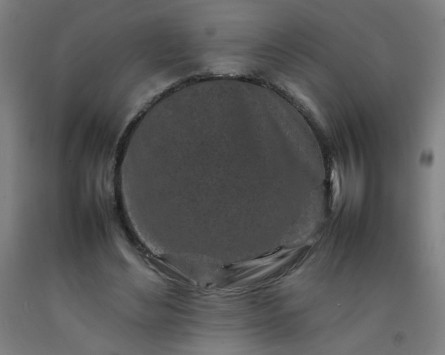 X0000092210492200709281026