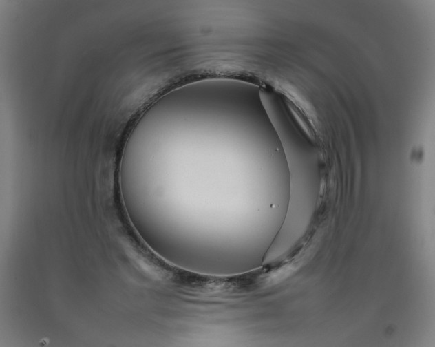 X0000092210493200709281026