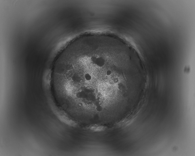 X0000092210495200709281026