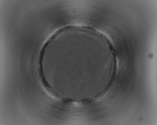 X0000092210496200709281026