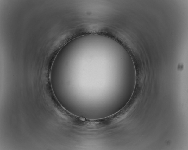 X0000092210497200709281026