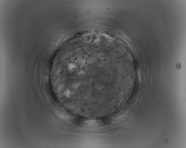 X0000092210499200709281026