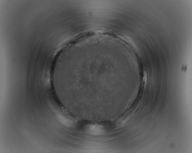 X0000092210500200709281026