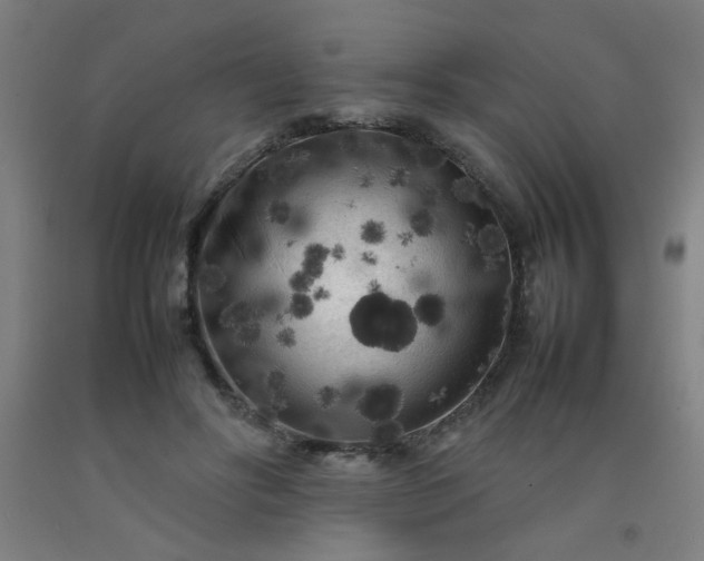 X0000092210502200709281026