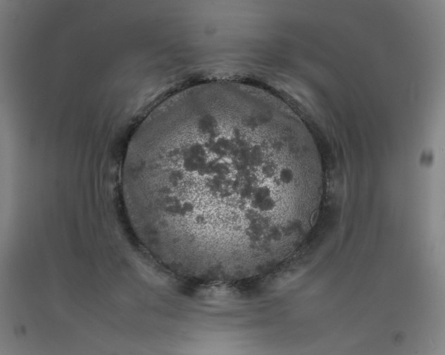 X0000092210503200709281026