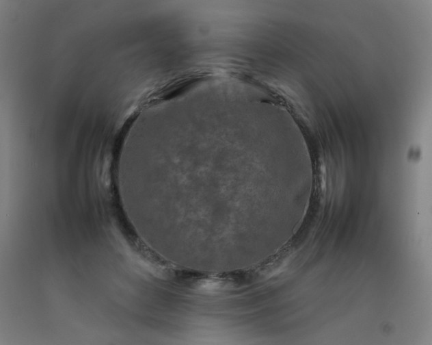 X0000092210504200709281026