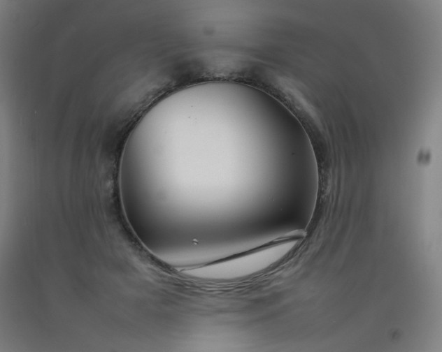 X0000092210505200709281026