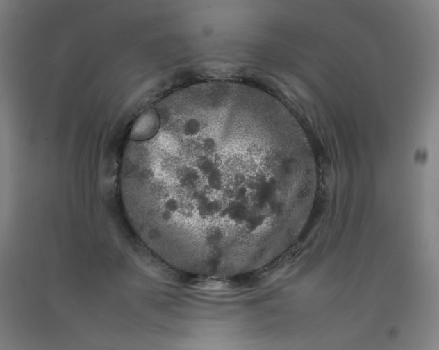 X0000092210507200709281026