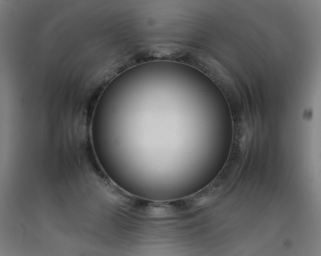 X0000092210510200709281026