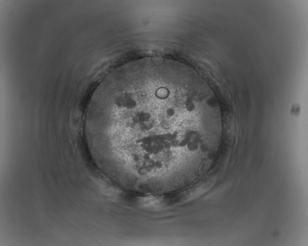 X0000092210511200709281026