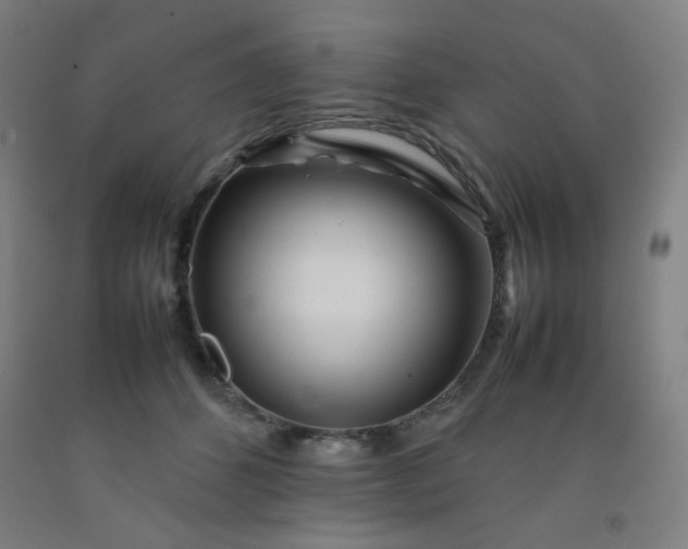 X0000092210512200709281026