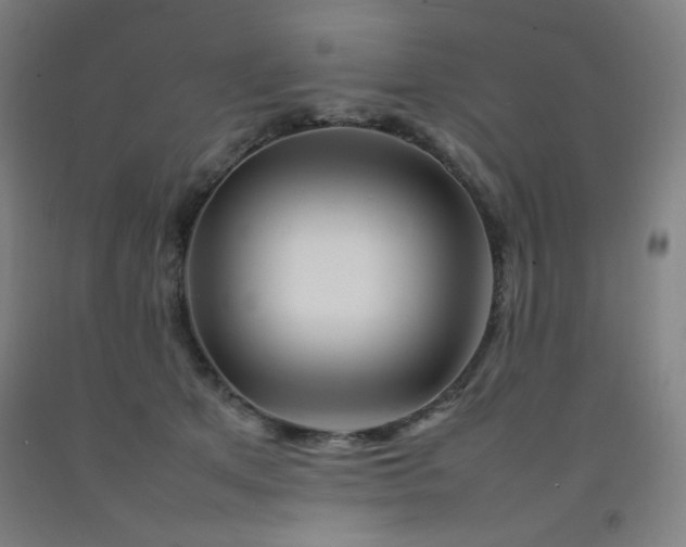 X0000092210513200709281026