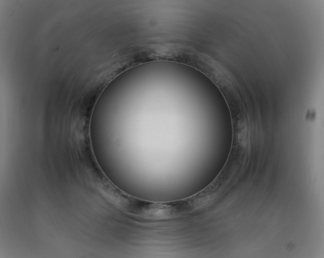 X0000092210514200709281026