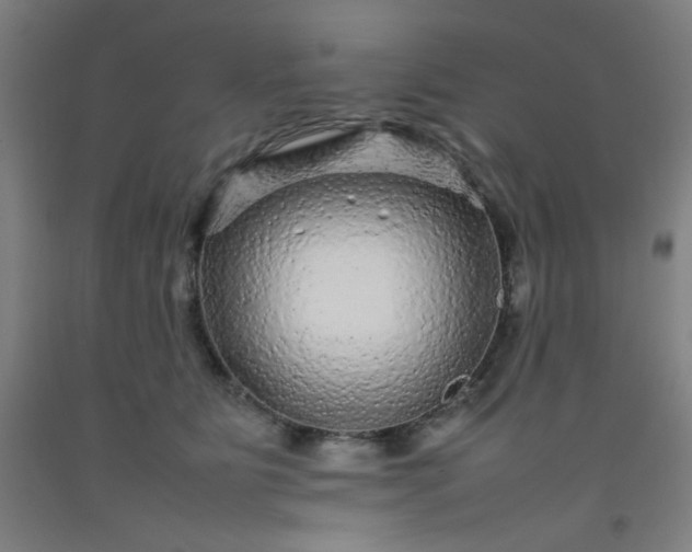 X0000092210515200709281026