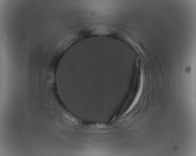 X0000092210517200709281026