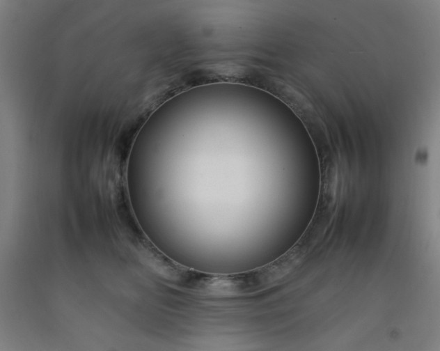 X0000092210518200709281026