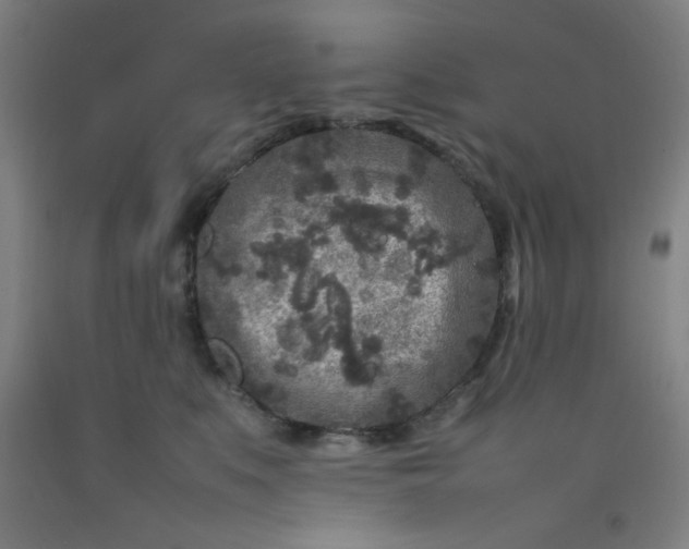 X0000092210519200709281026