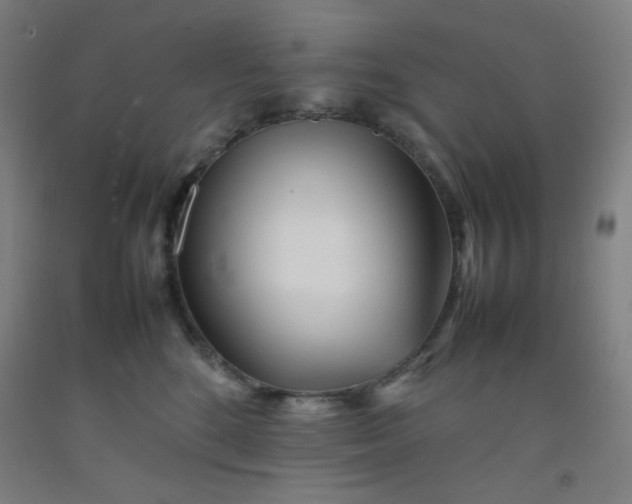 X0000092210520200709281026