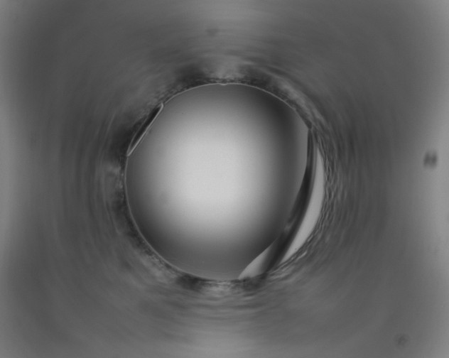 X0000092210521200709281026